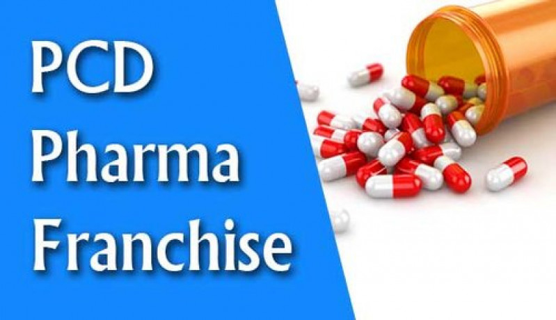 Top 10 Pcd Pharma Franchise Companies 1