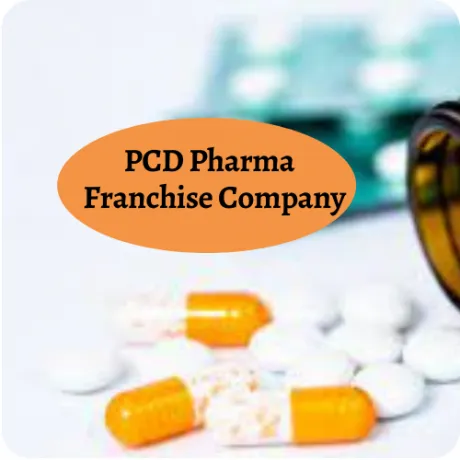 Andhra Pradesh Based Top Medicine Franchise Companies 1