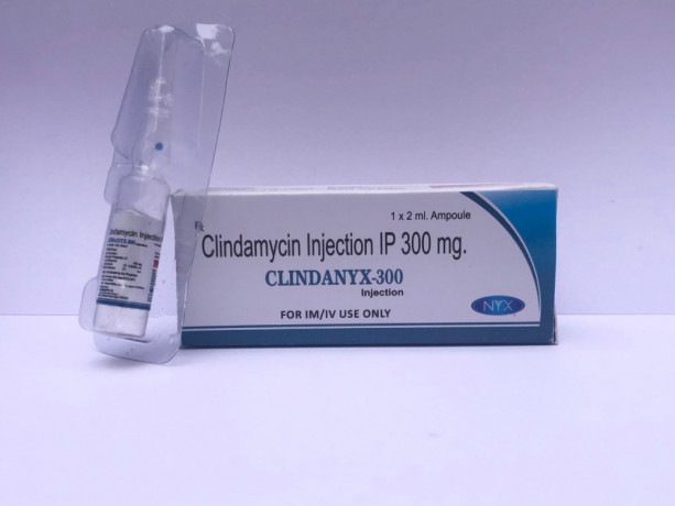 Clindamycin 300 MG Injections Pcd Suppliers Manufacturing Company 1