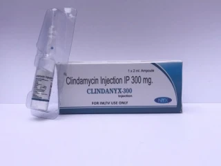 Clindamycin 300 MG Injection PCD Franchise Suppliers & Manufacturers
