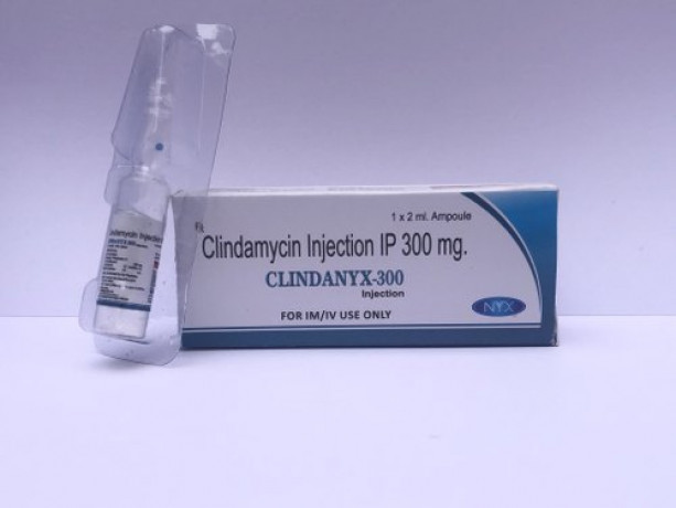 Clindamycin 300 MG Injection PCD Franchise Suppliers & Manufacturers 1