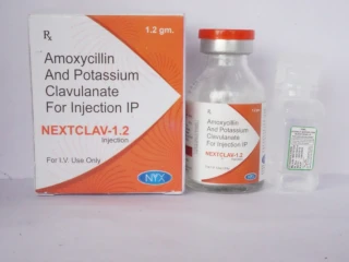 Amoxycillin 1 GM Clavulanate 200 Mg Injectable PCD Pharma Franchise Supplier & Manufacturers