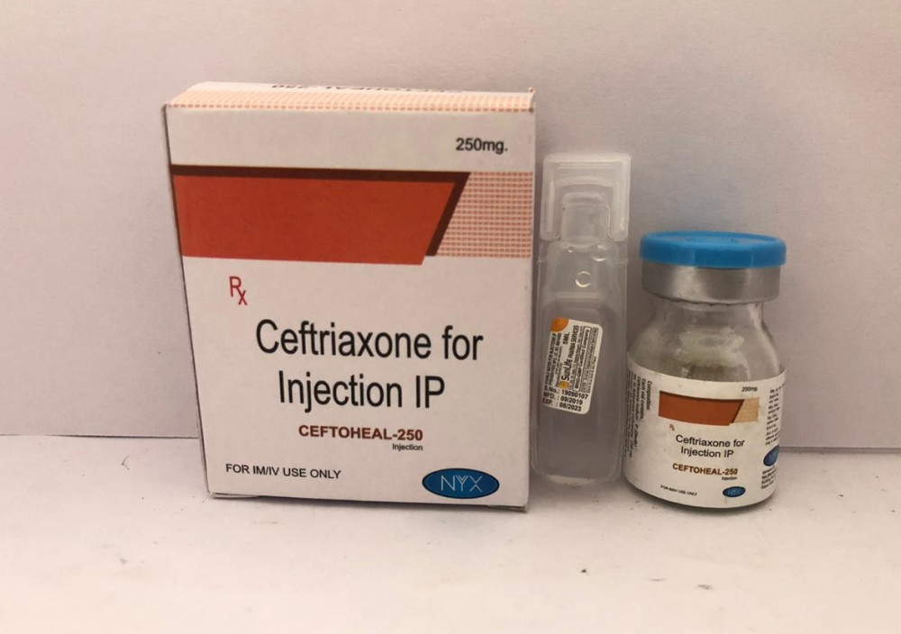 Ceftriaxone 250 MG Injections Pharma PCD Franchise Suppliers & Manufacturers India