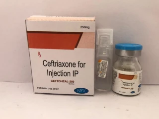 Ceftriaxone 250 MG Injections Pharma PCD Franchise Suppliers & Manufacturers India