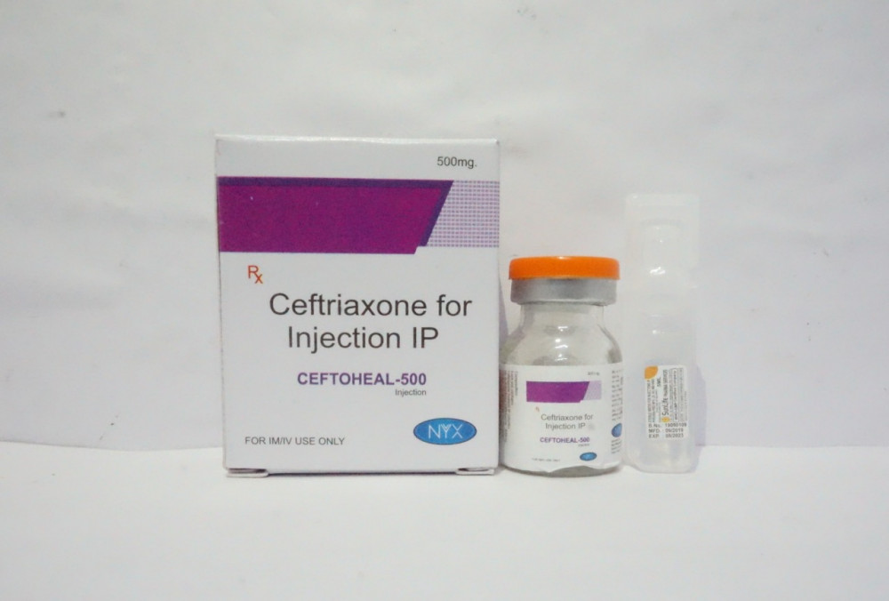 Ceftriaxone 500 MG Injections Pharma PCD Franchise Suppliers & Manufacturers in Chandigarh