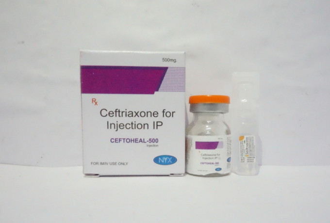 Ceftriaxone 500 MG Injections Pharma PCD Franchise Suppliers & Manufacturers in Chandigarh 1