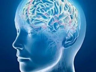 Top Pharma Companies in Neurology India