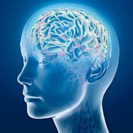 Top Pharma Companies in Neurology India 1