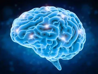 Top Pharma PCD Companies in Neurology India