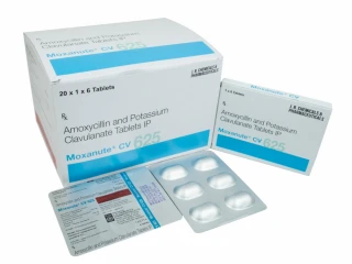 Amoxicillin 500 mg Potassium Clavulanate 125 Tablets Manufacturer