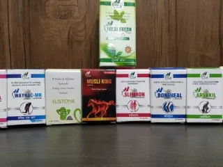 Top Ayurvedic Manufacturer in India