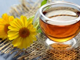 Herbal Range PCD Pharma Franchise Company