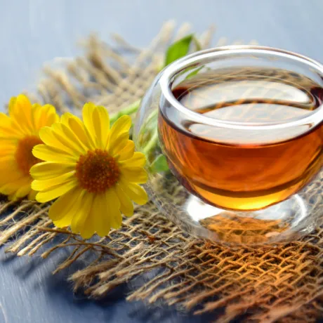 Herbal Range PCD Pharma Franchise Company 1