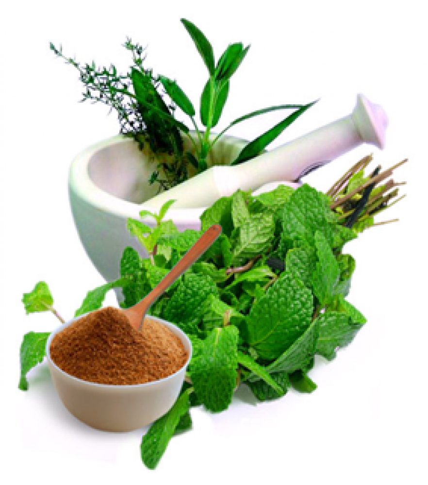 Best Ayurvedic PCD Franchise Company In Chandigarh