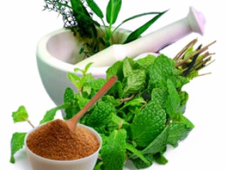 Best Ayurvedic PCD Franchise Company In Chandigarh