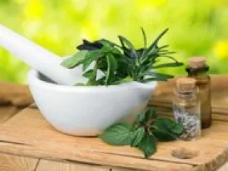 PCD Ayurvedic companies in Kerala