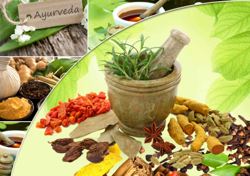 Best ayurvedic franchise in Maharastra