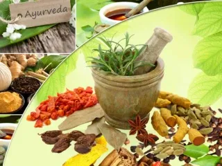 Best ayurvedic franchise in Maharastra