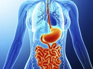 PCD Pharma Franchise Company For Gastro Range