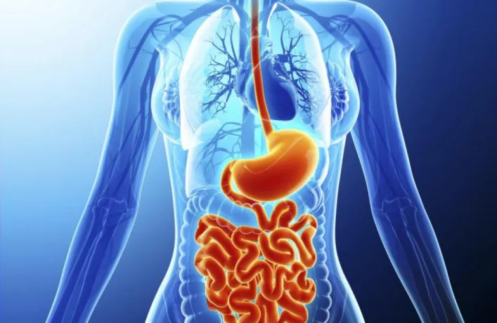 PCD Pharma Franchise Company For Gastro Range 1