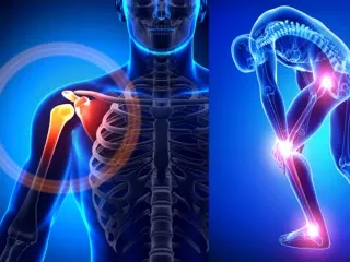 PCD Pharma Franchise Company For Ortho Range