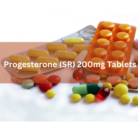 Progesterone sustained released 200mg Tablets Third Party Manufacturers 1