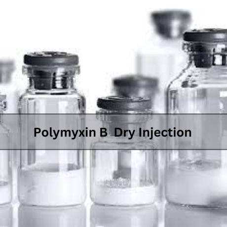 Polymyxin B Dry Injection Manufacturers & Suppliers 1
