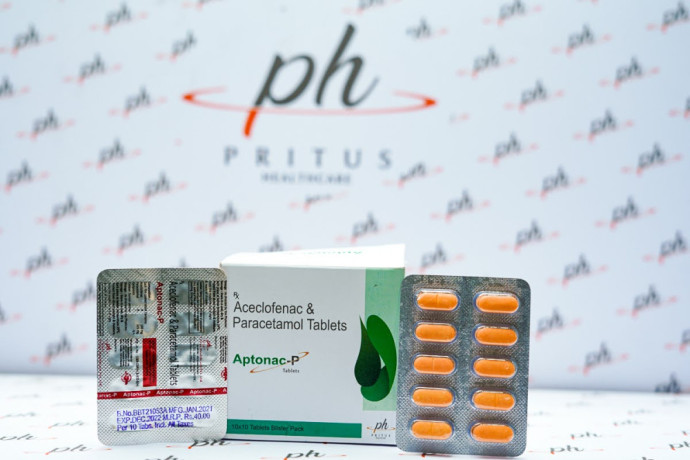 Analgesic & Pain Killer Medicine PCD Company & Third party Supplier 1