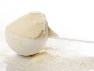Weight Gain Protein Powder Manufacturers and Suppliers