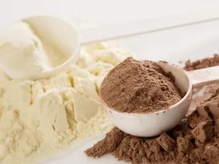 Gynae Protein Powder Manufacturers and Suppliers