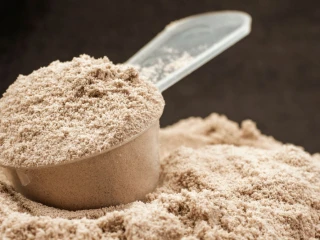 Plant Based Protein Powder Manufacturer and Supplier