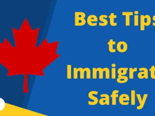 Best Immigration Consultancy services Provider in Panchkula, Chandigarh, Mohali