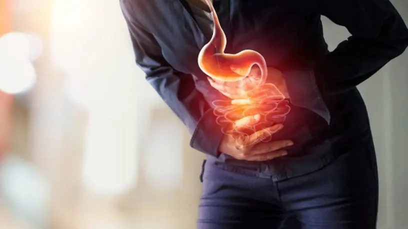 PCD Franchise Company for Gastro Range 1