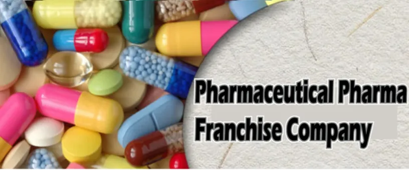 PG & PD Based Pharma Franchise Company 1