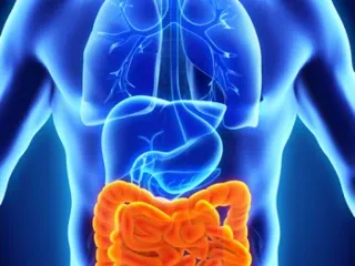Pharma Franchise Company for Gastro Medicine