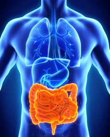 Pharma Franchise Company for Gastro Medicine 1