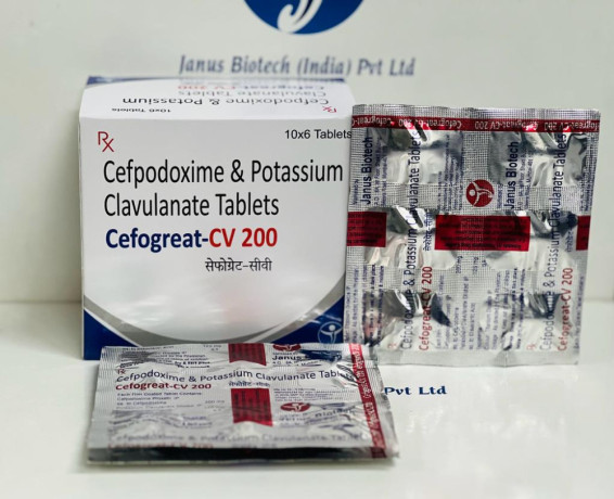 Pcd franchise &third party manufacture distributors cepodoxime &potassium clavulanate tablets 1