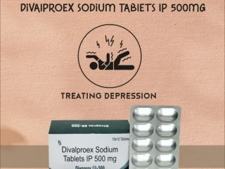 PCD FRANCHISE & THIRD PARTY MANUFACTURES DISTRIBUTORS DIVALPROREX SODIUM TABLETS IP 500MG