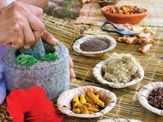Ayurvedic Franchise Company in India