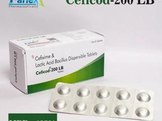 Cefixime 200 mg & Lactic Acid Bacillus Dispersible Tablet Manufacturer supplier and exporter