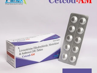 Levocetirizine Dihydrochloride 5mg,Montelukast 10mg,Ambroxol HCL 75mg Tablets Manufacturer supplier and exporter