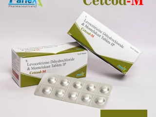 Levocetirizine Dihydrochloride 5mg + Montelukast 10mg tablet Manufacturer supplier and exporter