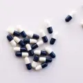 Capsule 1