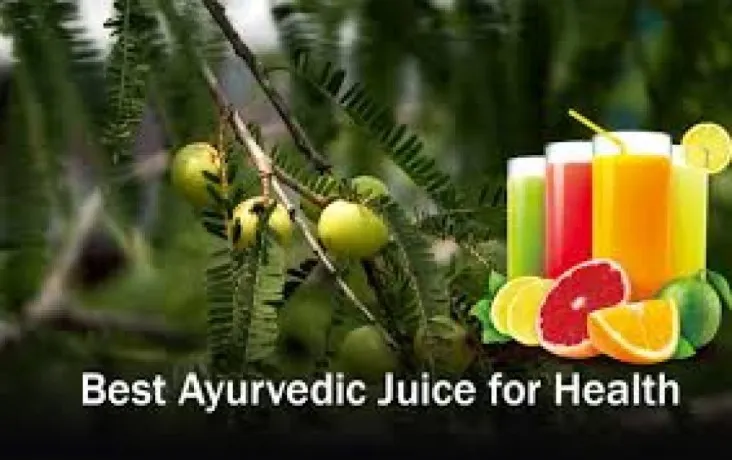Third Party Manufacturer For Ayurvedic Juices 1