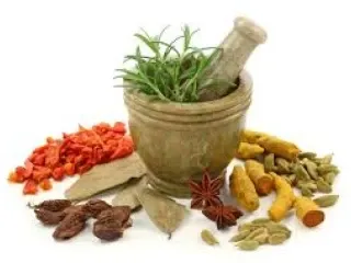 Pharma Franchise Company For Ayurvedic/herbal