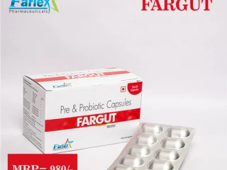 Pre & Probiotic Capsules,Fructo oilgosaccharides Manufacturer & Supplier & Exporter