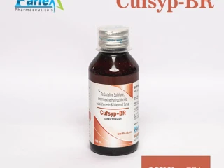 Terbutaline sulphate + Bromhexine Hcl + Guaiphenesin +Menthol Syrup Manufacturer & Supplier & Exporter