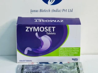 PCD Pharma Franchise & 3rd Party Manufacturers, distributors ,pepsin, pancreatin, papaya enzyme & b-complex tablets