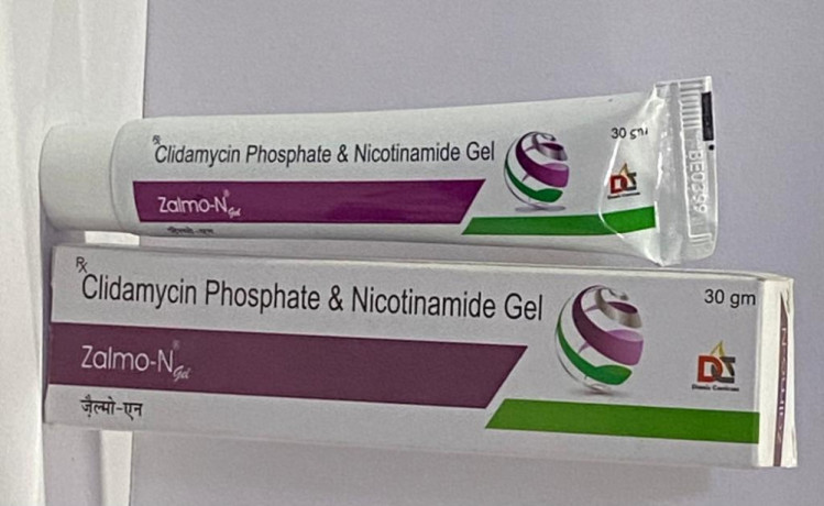 Best PCD Pharma Franchise Company & Third Party Manufacturers Supplier Distributor for Clindamycin & Nicotinamide Gel 1