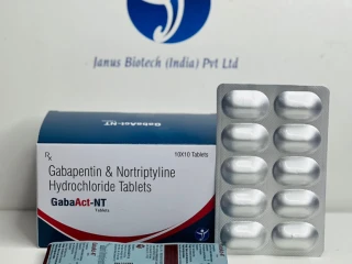 PCD Pharma Franchise Company and 3rd Party Manufacturing Supplier Distributor for Gabapentin & Nortriptyline Hydrochloride Tablets